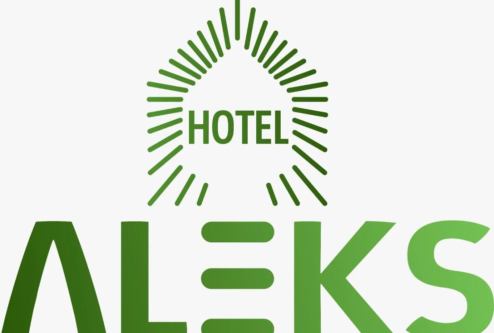 ***  Hotel Aleks Шкодер Албания