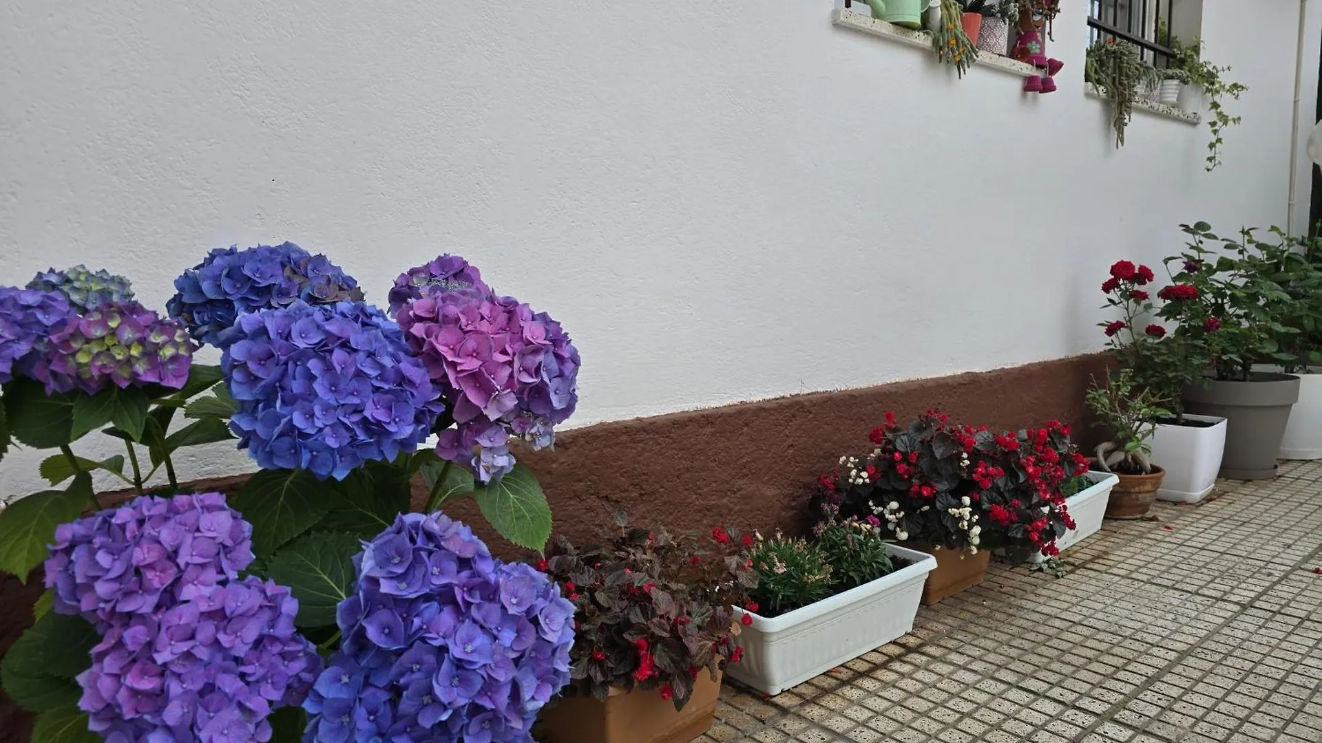 Hotel Aleks Shkoder Albania